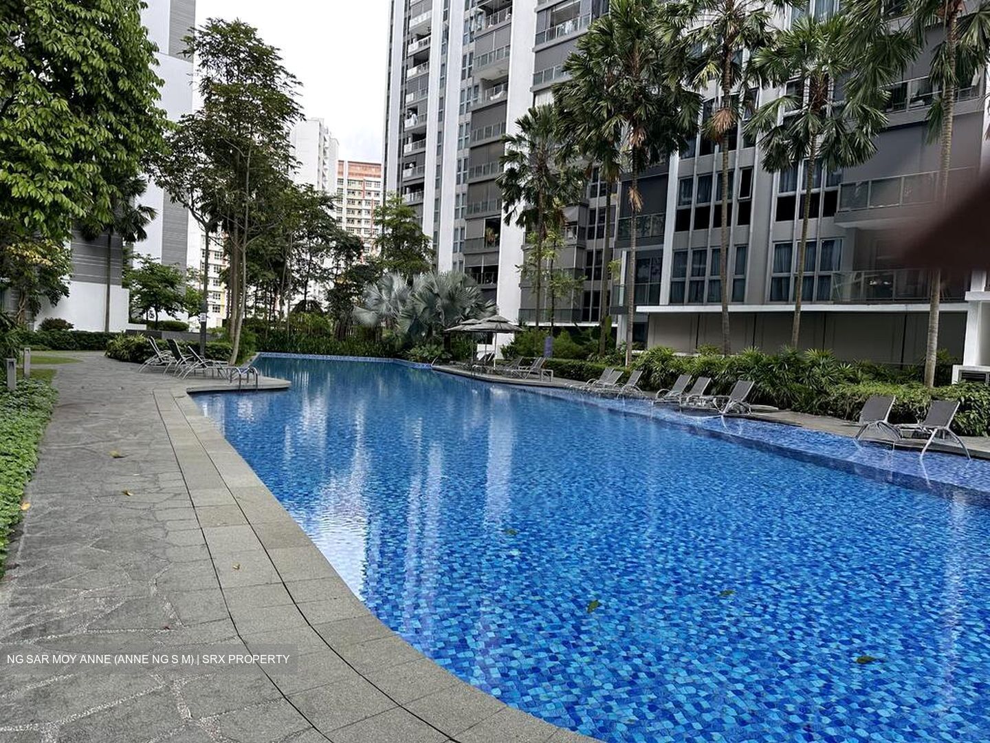 Bartley Ridge (D13), Condominium #502876441